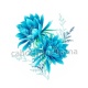 fleur bleue