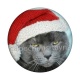 chat de noël