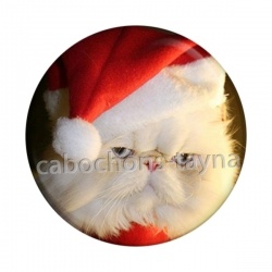 chat de noël