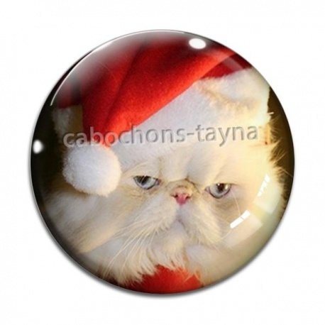 Cabochon Verre - chat de noël