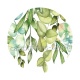 feuille