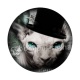 Cabochon chat sphynx