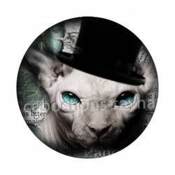 Cabochon chat sphynx