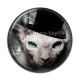 Cabochon Résine - Cabochon chat sphynx