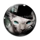 Cabochon Verre - Cabochon chat sphynx