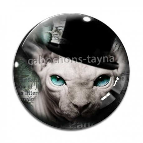 Cabochon Verre - Cabochon chat sphynx