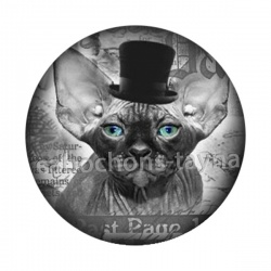 Cabochon chat sphynx