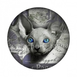 Cabochon chat sphynx