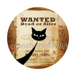 chat noir sheriff
