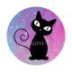 chat noir