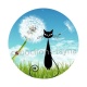 chat noir pissenlit