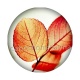 feuille