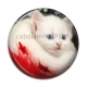 Cabochon Résine - chat