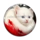 Cabochon Verre - chat