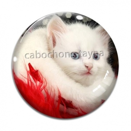 Cabochon Verre - chat