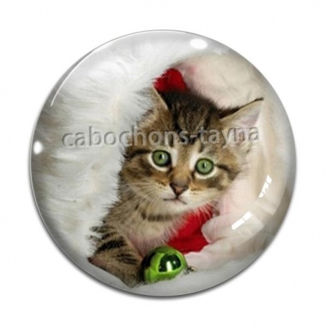 Cabochon Verre - chat