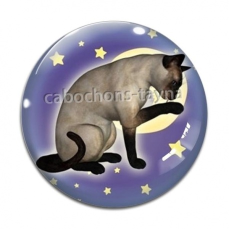 Cabochon Verre - chat