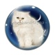 Cabochon Verre - chat