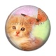 Cabochon Résine - chat