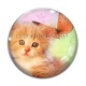 Cabochon Verre - chat