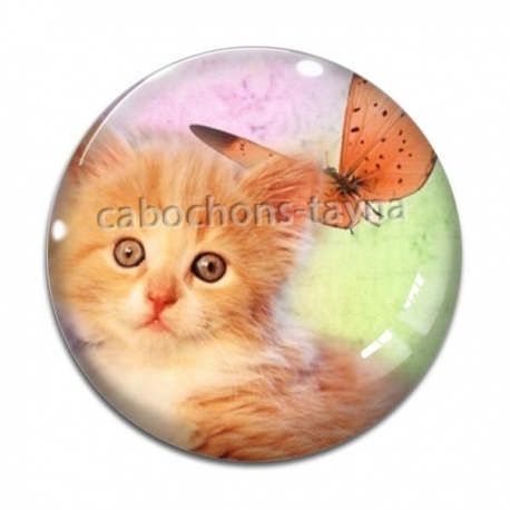 Cabochon Verre - chat