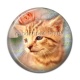 Cabochon Résine - chat