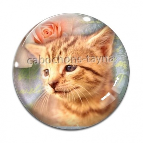 Cabochon Verre - chat