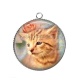 Pendentif Cabochon Argent - chat