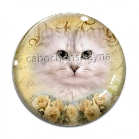Cabochon Verre - chat