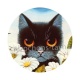 chat noir