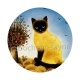 chat