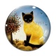 Cabochon Verre - chat