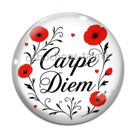 Cabochon Verre - carpe diem 
