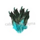 plume