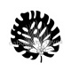 feuille