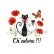 chat ch'adore
