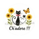 chat ch'adore