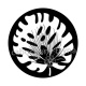 feuille