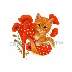 chat coquelicot