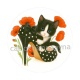 chat coquelicot