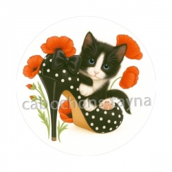 chat coquelicot
