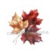 feuille