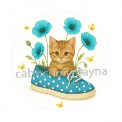 chat chaussure
