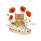 chat chaussure