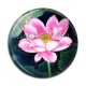 Cabochon Résine - fleur exotique