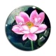 Cabochon Verre - fleur exotique