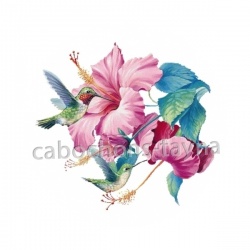 fleur exotique
