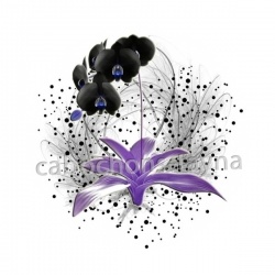 fleur exotique