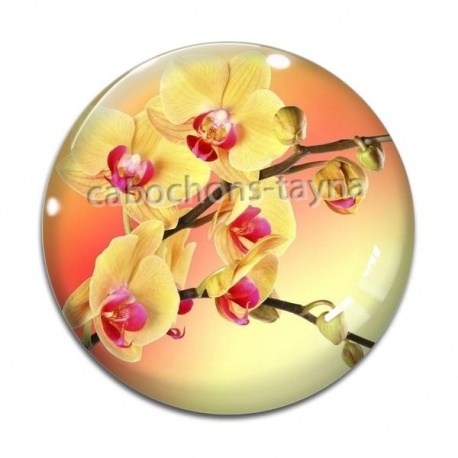 Cabochon Verre - fleur exotique