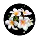 fleur exotique